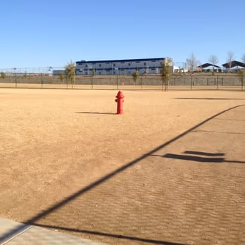 Torrey Pines Dog Park photo 2